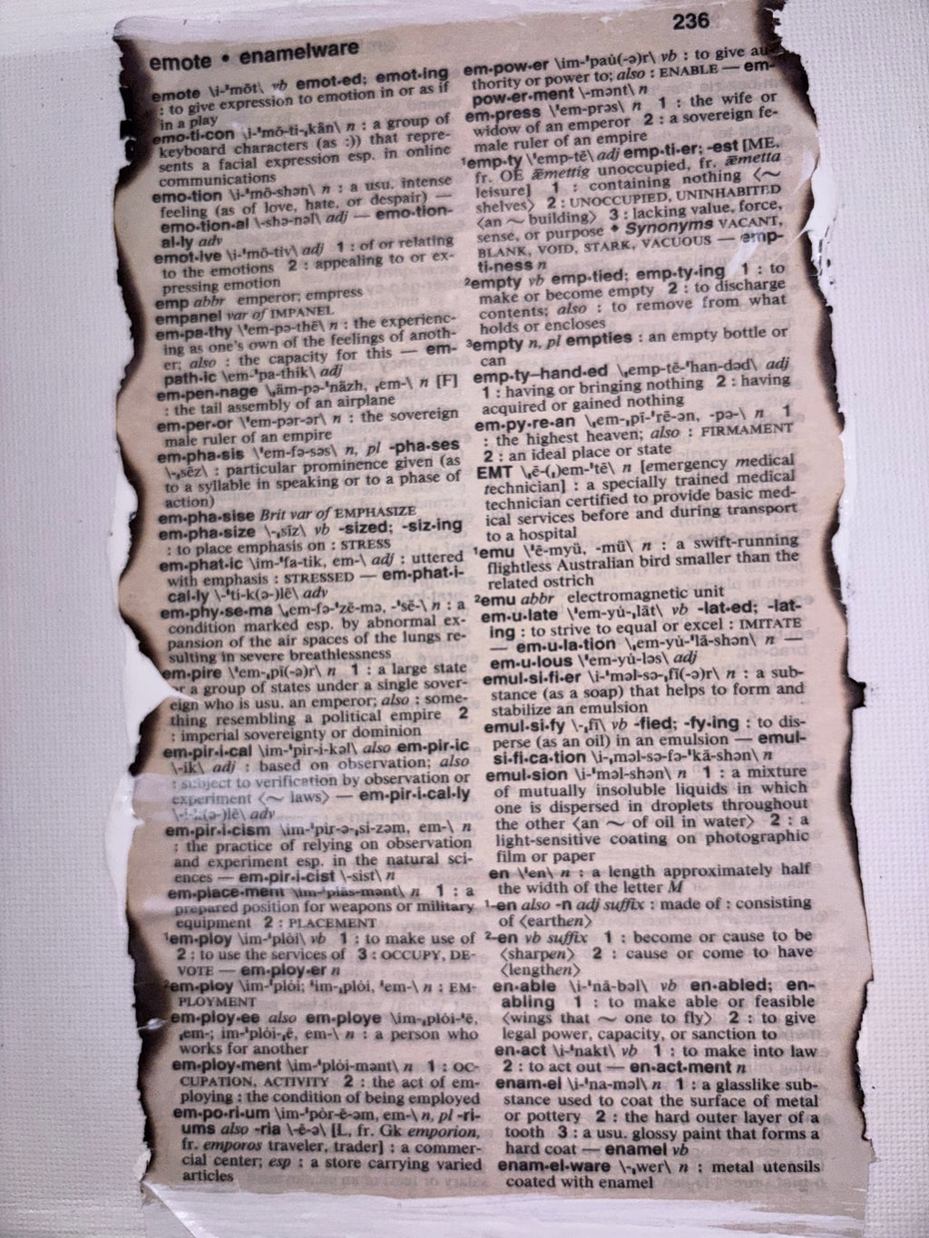 Enamel or an Entrepreneur.