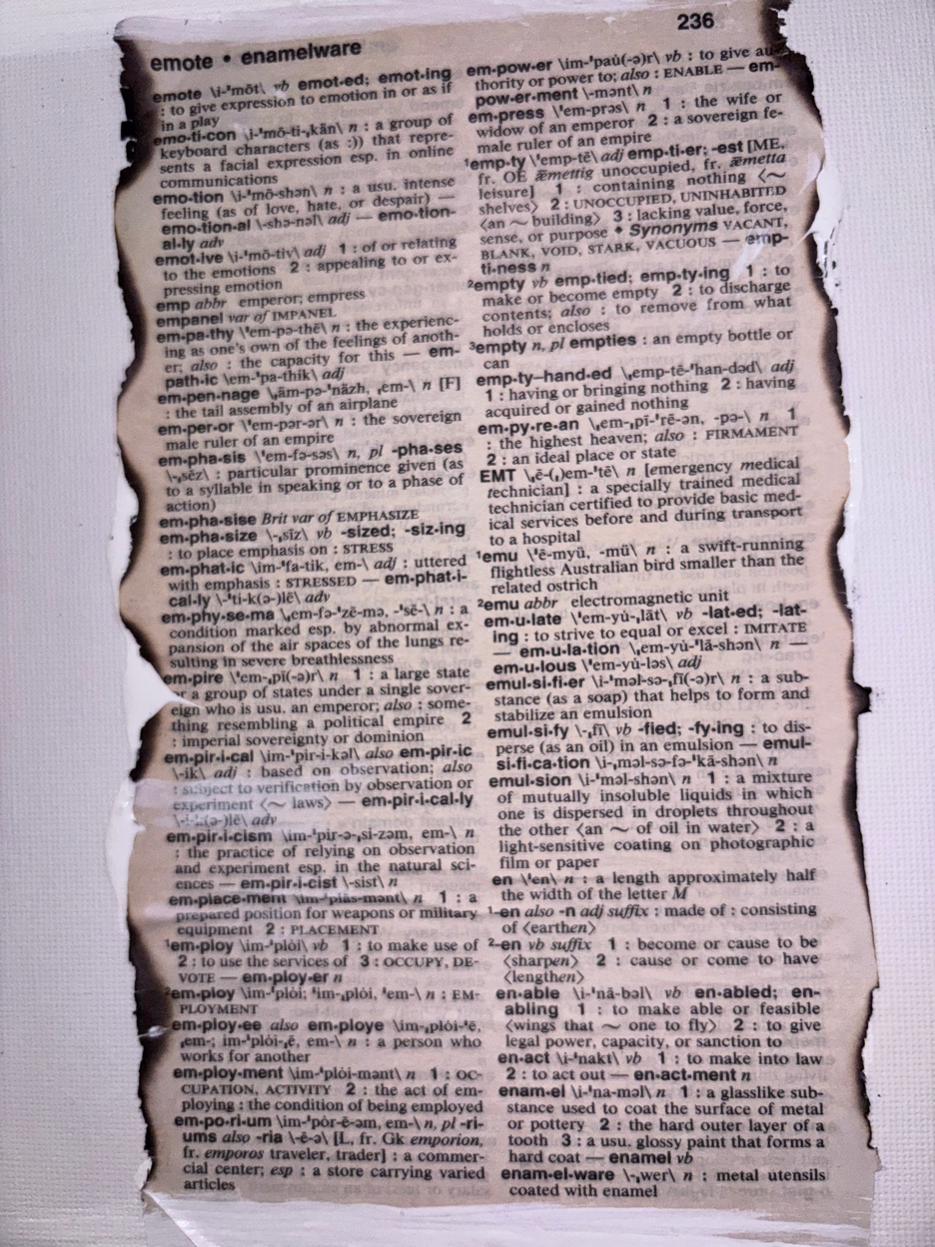 Enamel or an Entrepreneur.